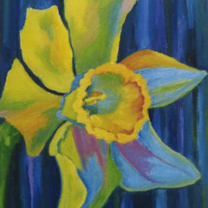 mulroy bay art daffodil art card