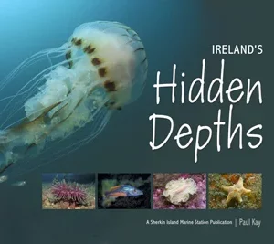 IRELAND'S HIDDEN DEPTHS BY PAUL KAY
