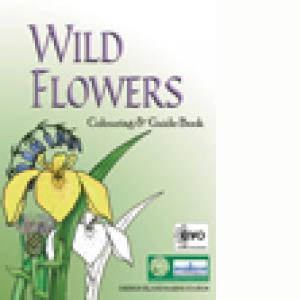 wild flowers colouring book