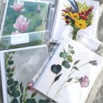 mulroy bay art mixed flowers cards