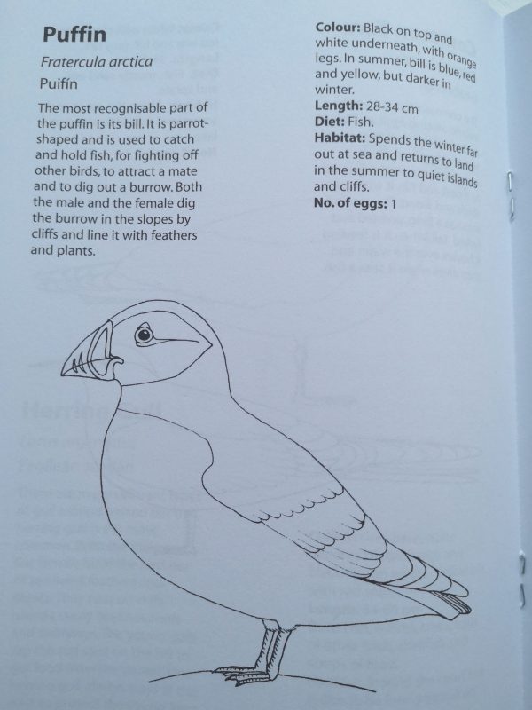 birds colouring book