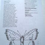 butterflies and moths colouring book