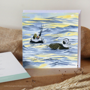 long tailed ducks art