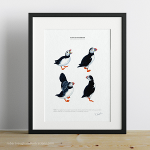 puffin print