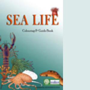 sea life colouring book