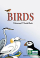 birds colouring book