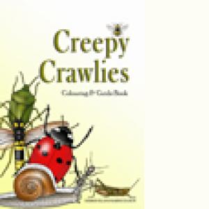 creepy crawlies colouring book