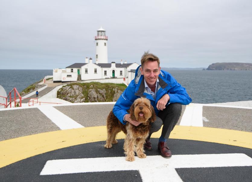 Sam – the Fanad Lighthouse dog!