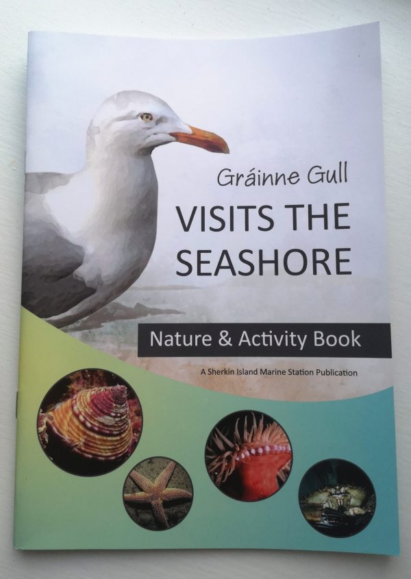 visit the seashore book
