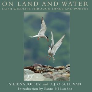 On Land & Water, Book by Irish Wildlife Photographer Sheena Jolley