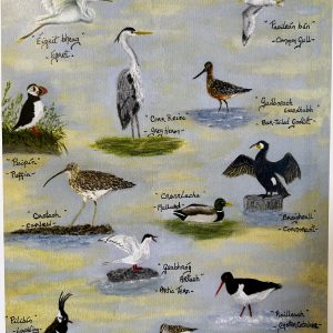 IRISH COASTAL BIRDS PRINT - BY MULROY BAY ART